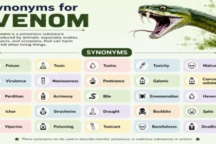 synonyms for venom