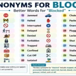 synonyms-for-blocked