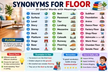 synonyms for floor