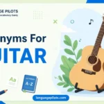 synonyms for guitar