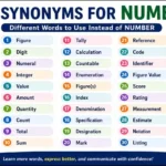 synonyms for number