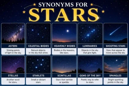 synonyms for stars