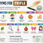 synonyms-for-trifle
