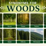 synonyms for woods
