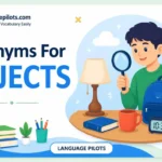Synonyms for Objects