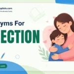 synonyms for affection