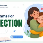 synonyms for affection