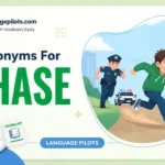 synonyms for chase
