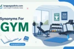 synonyms for gym