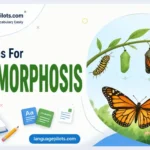synonyms for metamorphosis