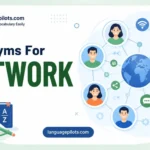 synonyms for network