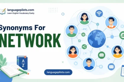 synonyms for network