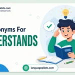 synonyms for understands