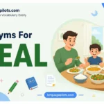 synonyms for meal