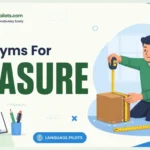 Synonyms for measure