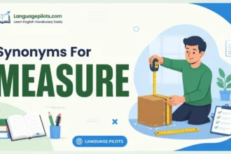 Synonyms for measure