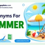 synonyms for summer