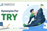 synonyms for try