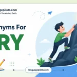synonyms for try