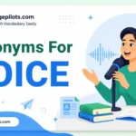 Synonyms for Voice